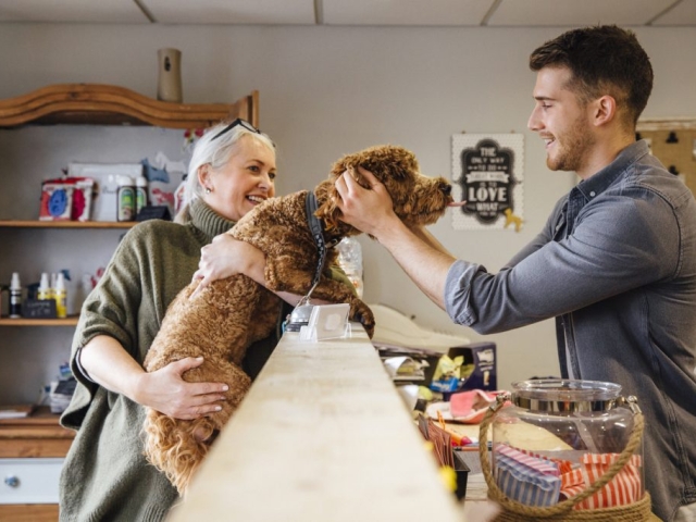 Dog Groomers